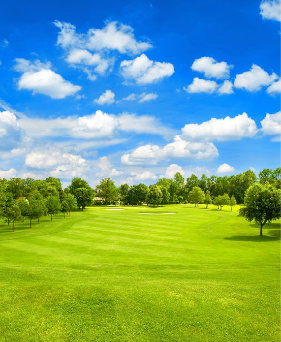 Land & Investment Properties